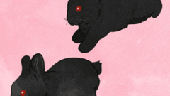 set of jumping black rabbit 268