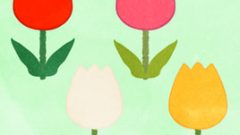 set of tulip flowers japanese kids style 268