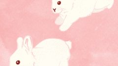 set of white rabbit jumping 268