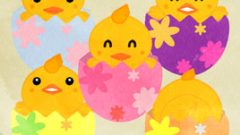 set smiling chick popping out of pink easter egg 268