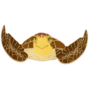 Smiling Sea Turtle