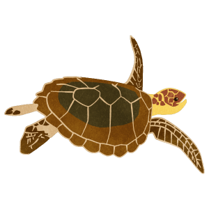 Swimming Sea Turtle