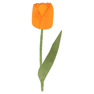 Yellow Tulip Flower