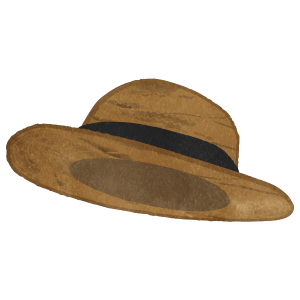Black Straw Hat