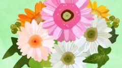 flower gerberas bouquet 268