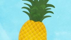pineapple front view 268