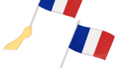 set of a hand raising the french national flag 268