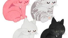 set of cat scratching its face with front leg 268