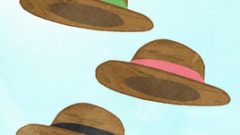 set of straw hat 268
