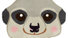 meerkat normal face 268