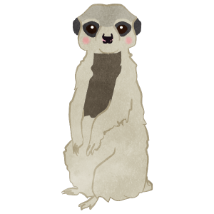 Meerkat Whole Body Standing