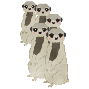 Meerkat Whole Body Standing Groups