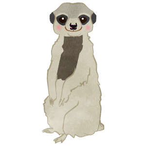 Smiling Meerkat Whole Body Standing 2