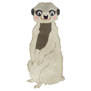Smiling Meerkat Whole Body Standing
