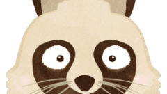 animal raccoon 01 face only 03 suprised 268