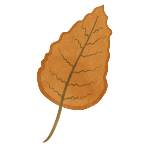 Autumn Leaves 02 01
