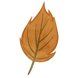 Autumn Leaves 02 02