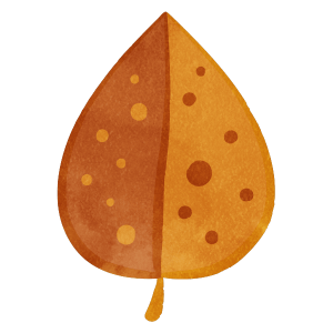 Autumn Leaves 02 03