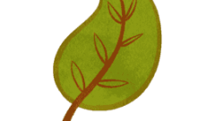 autumn leaves 03 02 268