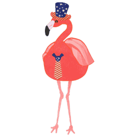 Flamingo With American Flag Pattern Fashions 