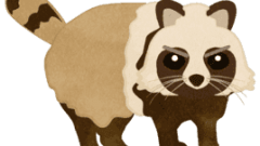 raccoon 01 entire body front face 02 being vigilant 268