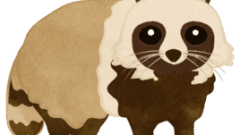 raccoon entire body 268