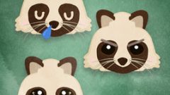 set of animal raccoon 01 face only 02 268