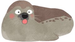 surprised spotted seal whole body 02 268