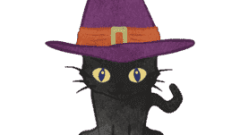 black cat with halloween hat 01 268