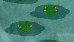 set of alligators peeking out from under the water