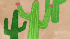 set of cactus with flower