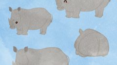 set of rhinoceros full body