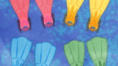 set of snorkeling scuba flippers 01