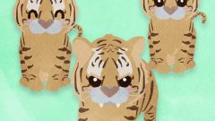 set of tiger full body