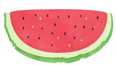 watermelon slice cut red