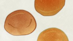 set of roll breads 02