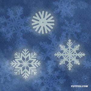 Set Of Snowflakes 011 013