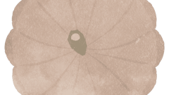 thanksgiving white pumpkin view from the top