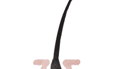 hair follicles split ends