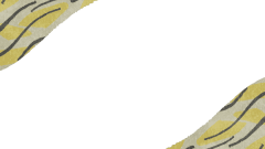 tiger pattern background 01