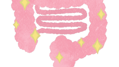 organs clean intestines