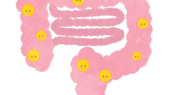 organs intestines with lots of good bacterias