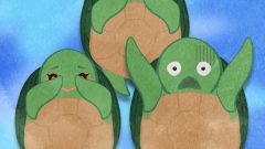 set of character turtle front view showing stomach 01