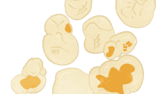 snack popcorns