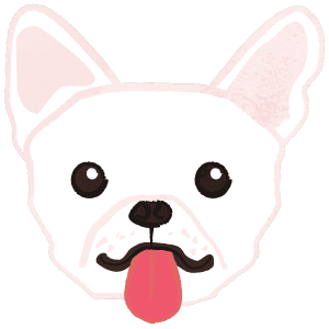 French Bulldog Sticking Tongue Out