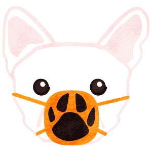 French Bulldog With Mask