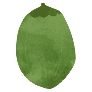 Green Coconut