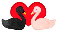lovely dovely swan couple