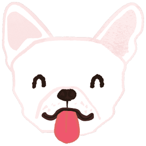 Smiling French Bulldog Sticking Tongue Out