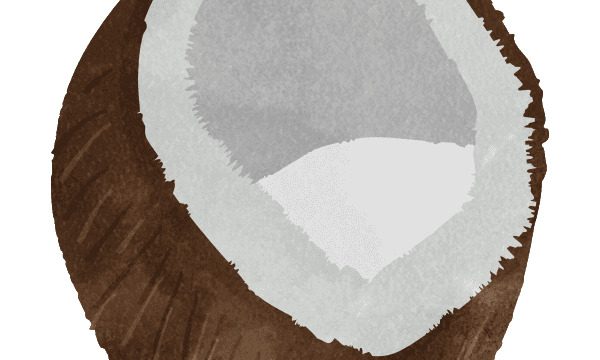 split coconut